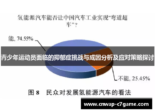 青少年运动员面临的抑郁症挑战与成因分析及应对策略探讨