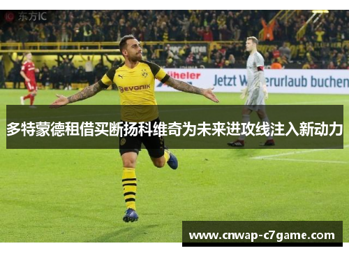 多特蒙德租借买断扬科维奇为未来进攻线注入新动力